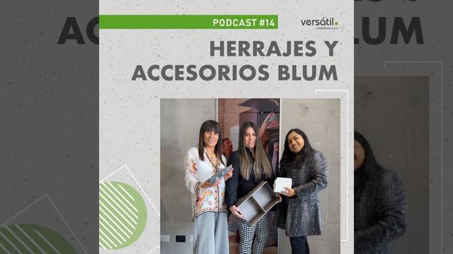 Episodio #14 Herrajes y accesorios Blum: Blumotion, Tip-on, Aventos, Tandem, Space Tower y más | .. смотреть онлайн