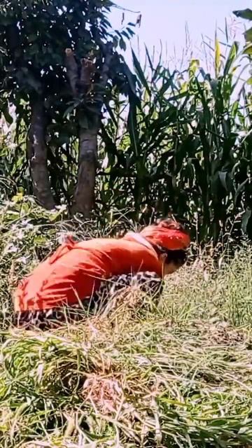 Kelin Hayoti Yangi Qism