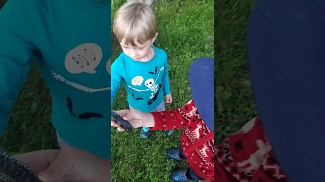 Мы поймали ужа (продолжение) смотреть онлайн