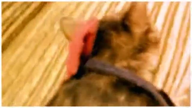 Marble (Created With Magisto)