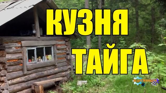 ИСТОРИИ из ЖИЗНИ ЛЕСНИКА НА НОЧЬ СУДЬБА ЖИЗНЬ МЕДВЕДИ ВОЛКИ в ЛЕСУ СЕРИАЛ ВСЕ СЕРИИ смотреть онлайн