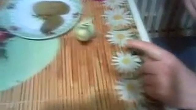 Мой попугай любит выпить и поболтать!!!!Смотреть всемь!!! смотреть онлайн