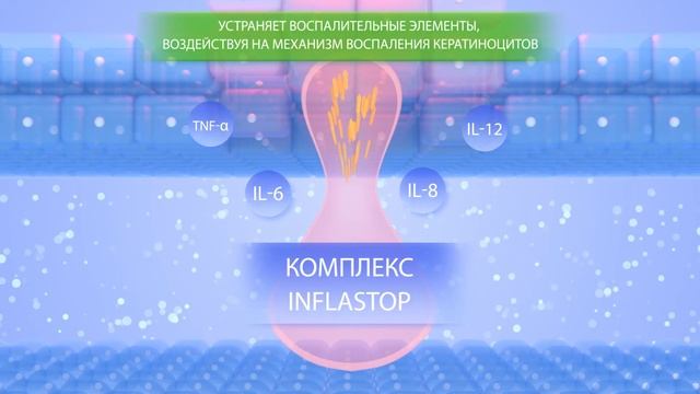 Биодерма Себиум Сенситив крем смотреть онлайн