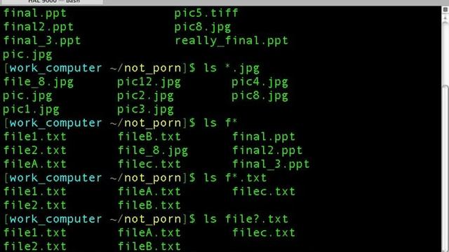 Unix Hints - Wildcards смотреть онлайн