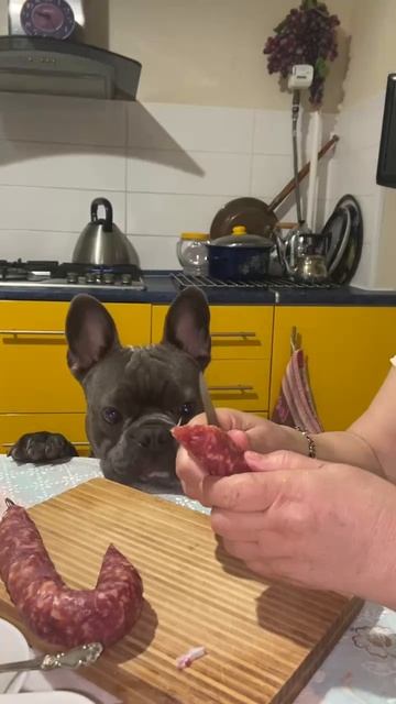 Колбасочку хочу! смотреть онлайн