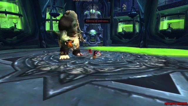 Рейд ЦЛК. Эксперименты Профессора Мертецыда. World of Warcraft. смотреть онлайн