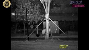 ПРИБОР НОЧНОГО ВИДЕНИЯ