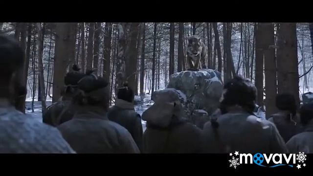 GREAt tiger. (best music). смотреть онлайн