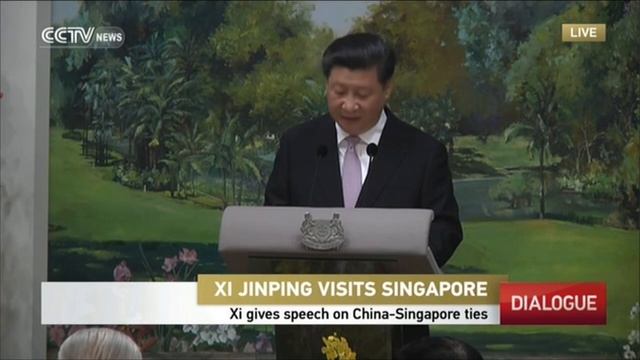 President XiJinping attends banquet hosted by Singaporean President Tony Tan смотреть онлайн