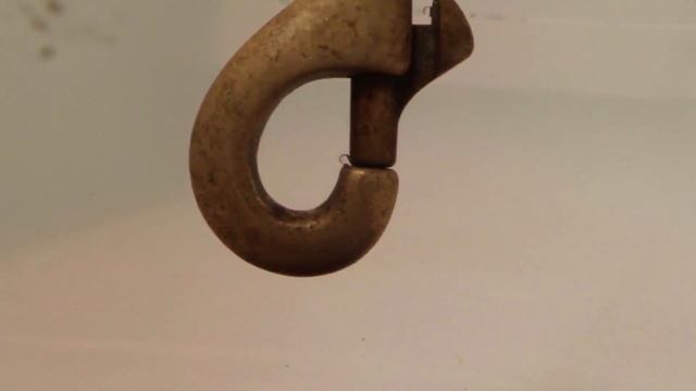 Gopro work with Sea & Sea macro lens? Yep. смотреть онлайн