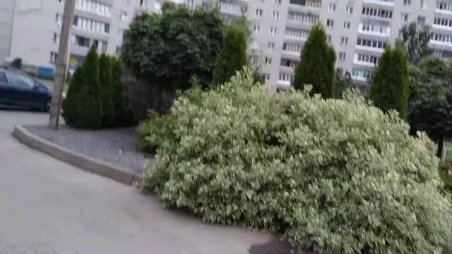 какое небо голубое))) 16.07.2021 смотреть онлайн
