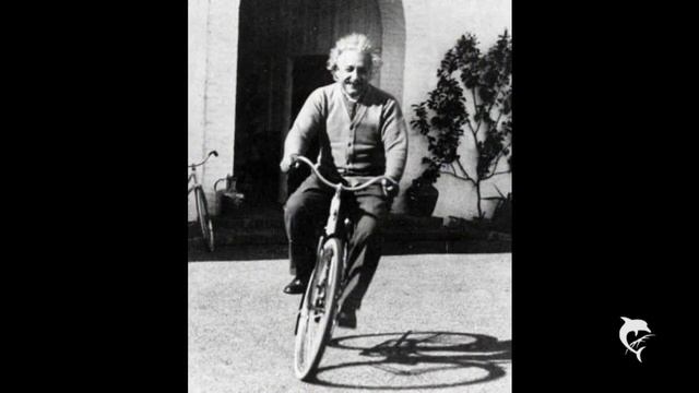 Albert Einstein (1879-1955) смотреть онлайн