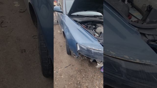 1000329559.mp4 смотреть онлайн