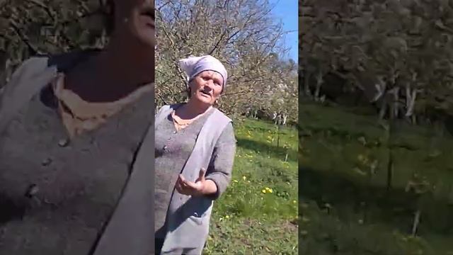 захват поля смотреть онлайн