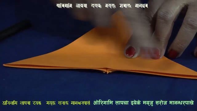 Saroj Manandhar Origami Butterfly смотреть онлайн