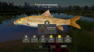 РР4 | Новогодние задания (экстра) | Этап 9 (задание 3) | Охота на усача