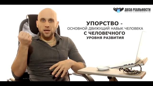 Как воспитать упорство смотреть онлайн