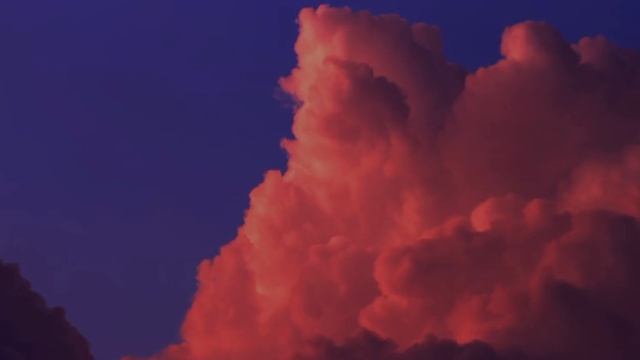 1000017571.mp4 смотреть онлайн