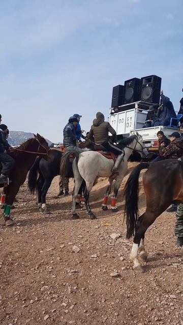 27-01-2024 Каромозор, Эгамберди Полвон бо аспи Узбекистан аспи Ином бой номи асп Дасвидания смотреть онлайн