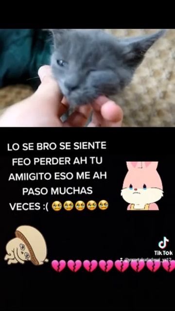 ES TAN TRISTE PERDER ATU AMIGITO QUE SIEMPRE ESTUBO ATU LADO 💔💔💔💔💔💔😔😔😔 смотреть онлайн