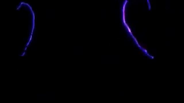 Laser-Show LS-A6 RV350 (350mw розовый) обзор без дыма part 3 смотреть онлайн