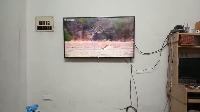 New Mi 4A Pro Android LED TV | Smart TV | 43 inches смотреть онлайн