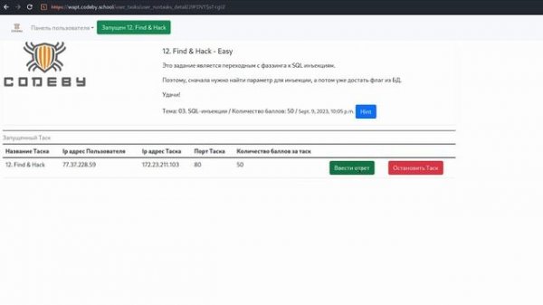 ОБЗОР КУРСА WAPT ОТ CODEBY