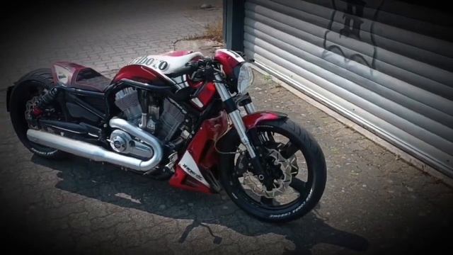 Harley Davidson V Rod Muscle Moto GP Night Special .Bürger Custom 2023 смотреть онлайн