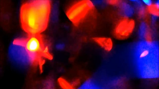 FAWWN Modular Synth Sketch 08.02.17 смотреть онлайн