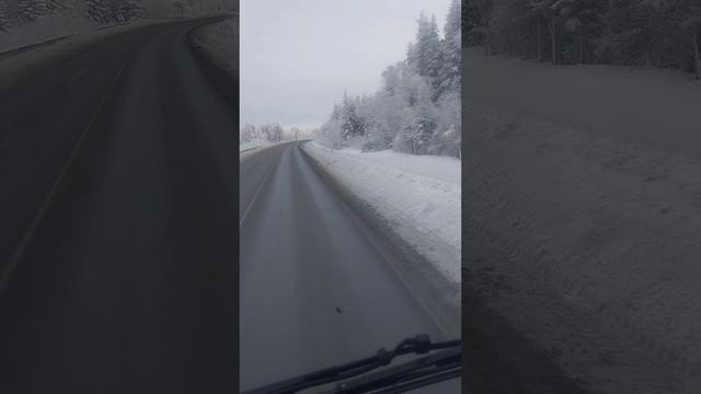 Мороз и солнце день  чудесный