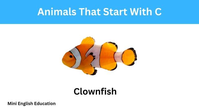 Animals That Start With C | Learn English vocabulary | Mini English Education смотреть онлайн
