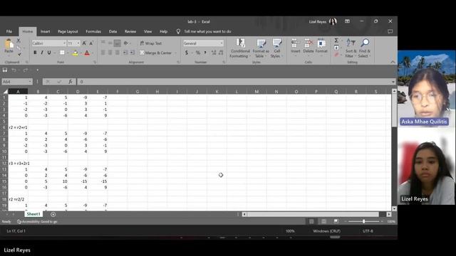 Laboratory 3 (Matrix Functions) Using Octave смотреть онлайн