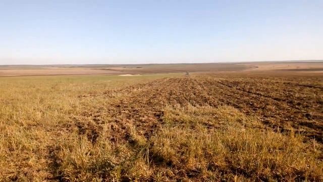 Культивация падалицы озимого ячменя модернизированным КПЭ-3,8 смотреть онлайн