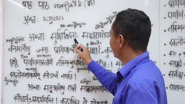 ថ្នាក់ទី១០ សំស្ត្រឹត មេរៀនទី៦ សត្វសេះ (ត) смотреть онлайн