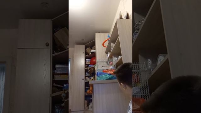 Вырезаем грызунов из пачек корма смотреть онлайн