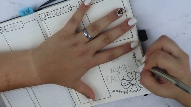 BuJo Weekly PWM смотреть онлайн