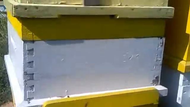 КАС 81,Вароатоза и поведение на пчелите -2 част. смотреть онлайн