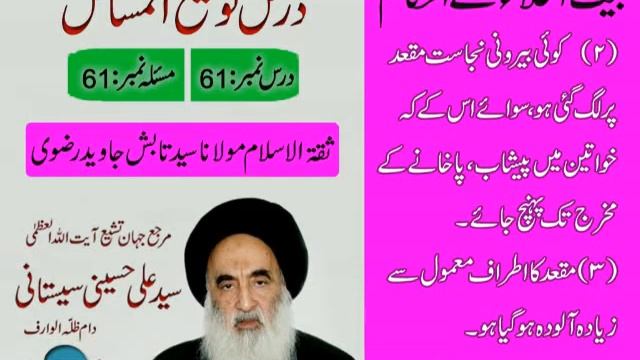 Tauzihul Masail Dars # 61 Bait ul Khala k Ahkam (Aayatullah Sistani d.b) - Maulana S. Tabish Rizvi. смотреть онлайн