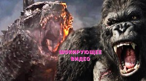 Кин-Конг и Годзилла противостояние ( Новая Империя ) 2024