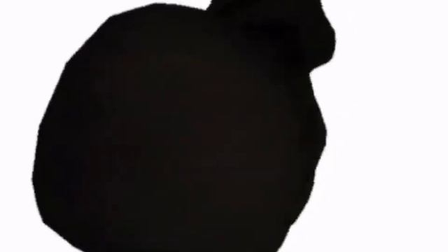 Maxwell Cat кружится.