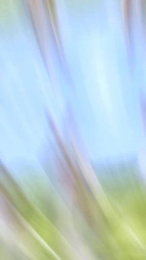 Песня про сигму-зайчика и капусту в minecraft!