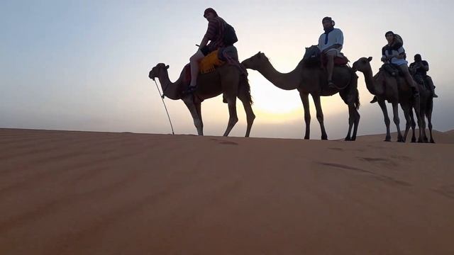 The Sahara Desert, Erg Chebbi Dunes, heading into camp for the night смотреть онлайн