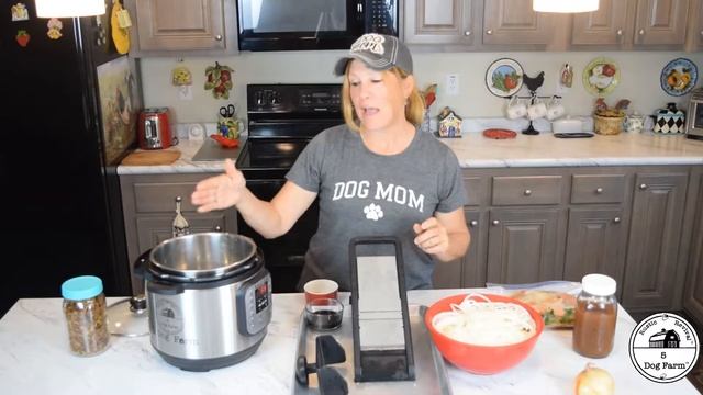 How To Make Slow Cooker Balsamic Onions To Dehydrate I 5 Dog Farm смотреть онлайн