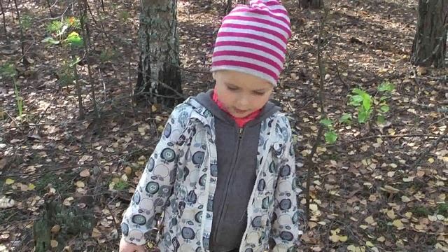 у маленькой сосёнки есть мама и папа смотреть онлайн