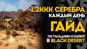 1.2ККК СЕРЕБРА КАЖДЫЙ ДЕНЬ ЗА НАЙМ В BDO! | Все о гильдиях и найме в Black Desert
