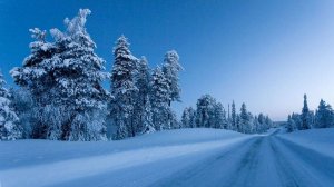 гр.ГороД - Три месяца сна