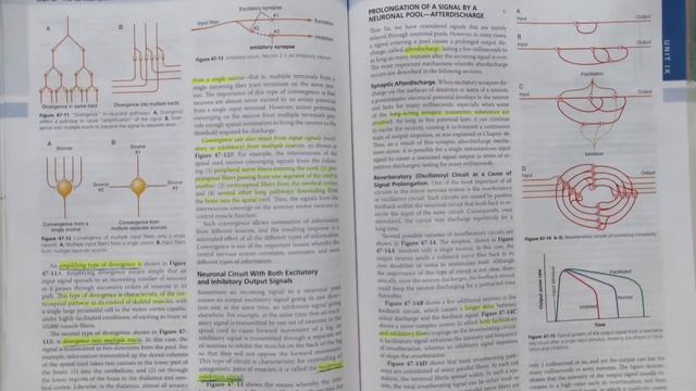 guyton chapter 47 part 3 of 3 смотреть онлайн