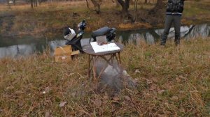 Петарды Креосан