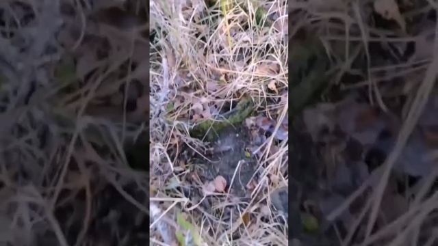 и такие находки бывают смотреть онлайн