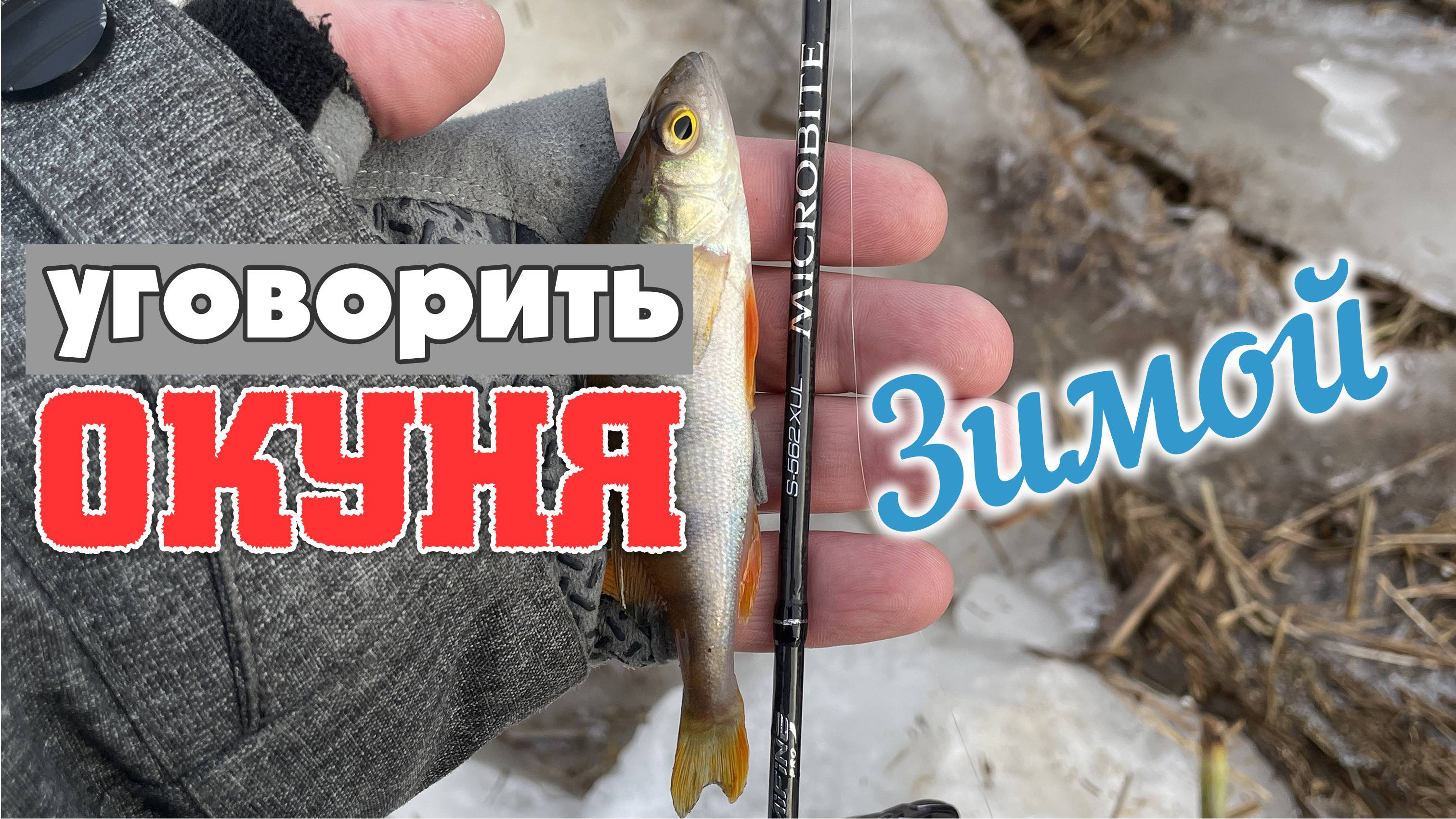 ХИТРЫЙ Зимний ОКУНИШКА! Работаю Mifine Microbite 168см 0-2гр. ВЕРХ ТЕСТА! #микроджиг #дропшот смотреть онлайн